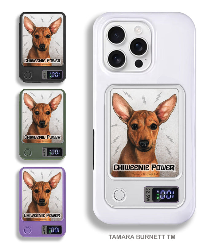 Phone Banks Wireless Phone Chargers