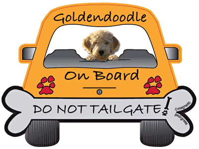 Do Not Tailgate Magnets
