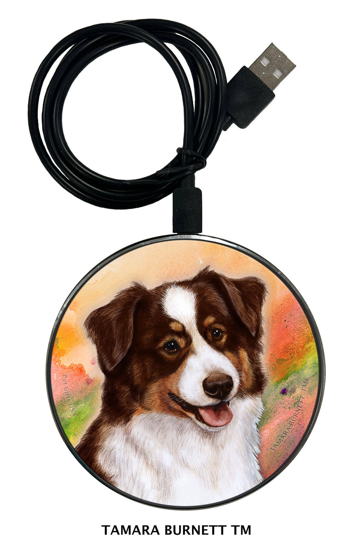 Australian Shepherd Red Tri-Color Zoomies Wireless Charger
