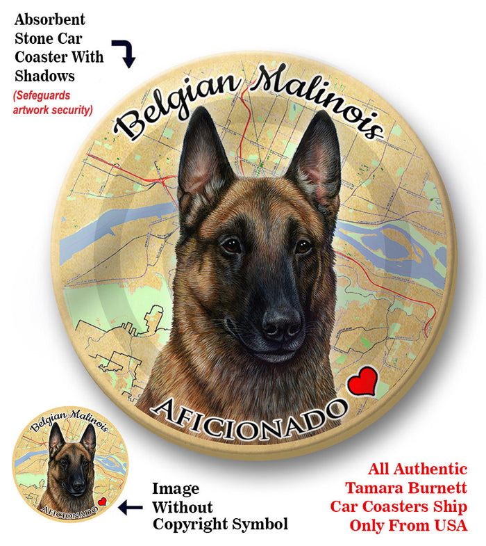 photo of Belgian Malinois