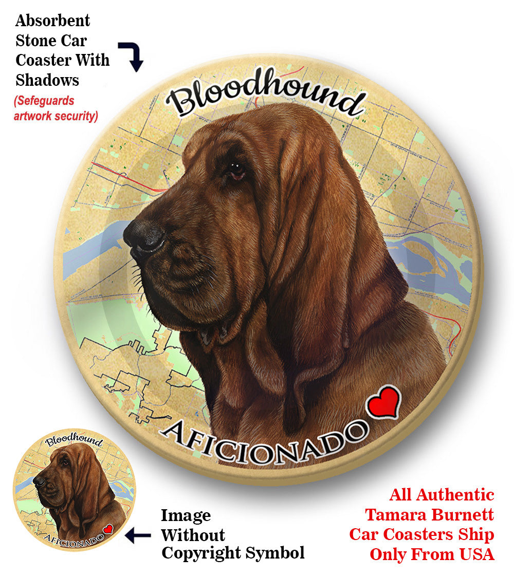 photo of Bloodhound