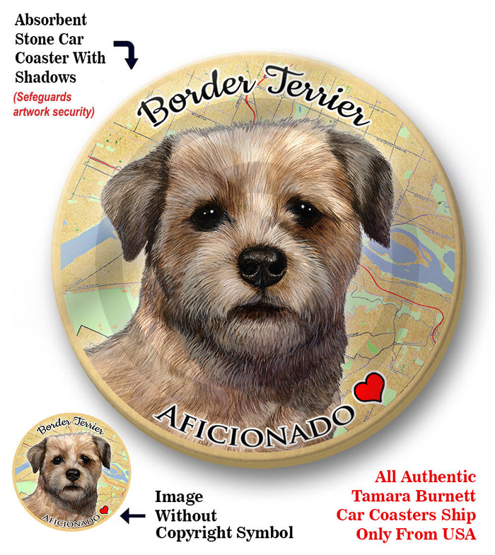 photo of Border Terrier
