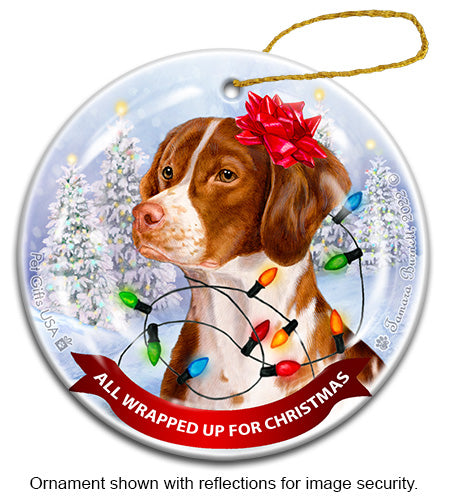Brittany Orange and White All Wrapped Up Ornament