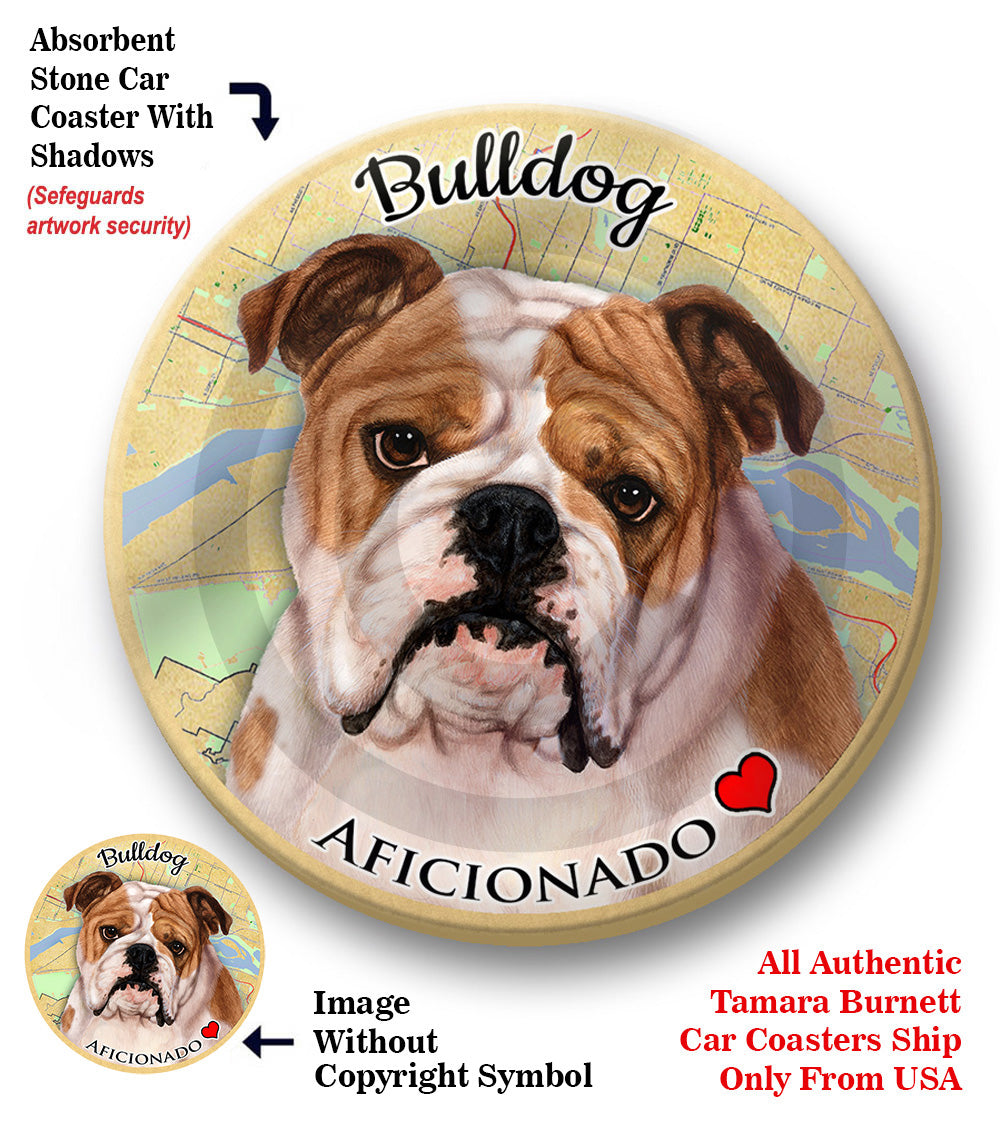 photo of English Bulldog