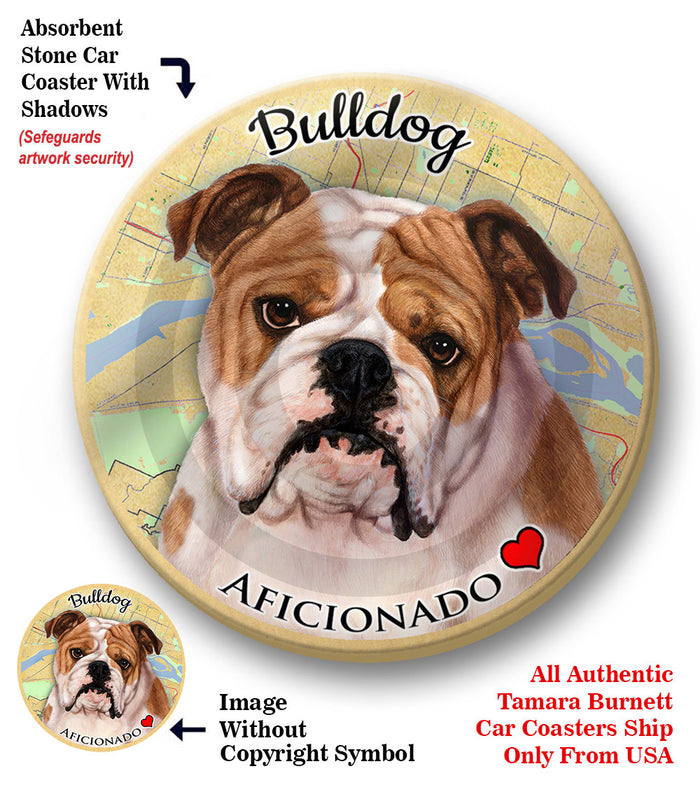 photo of English Bulldog