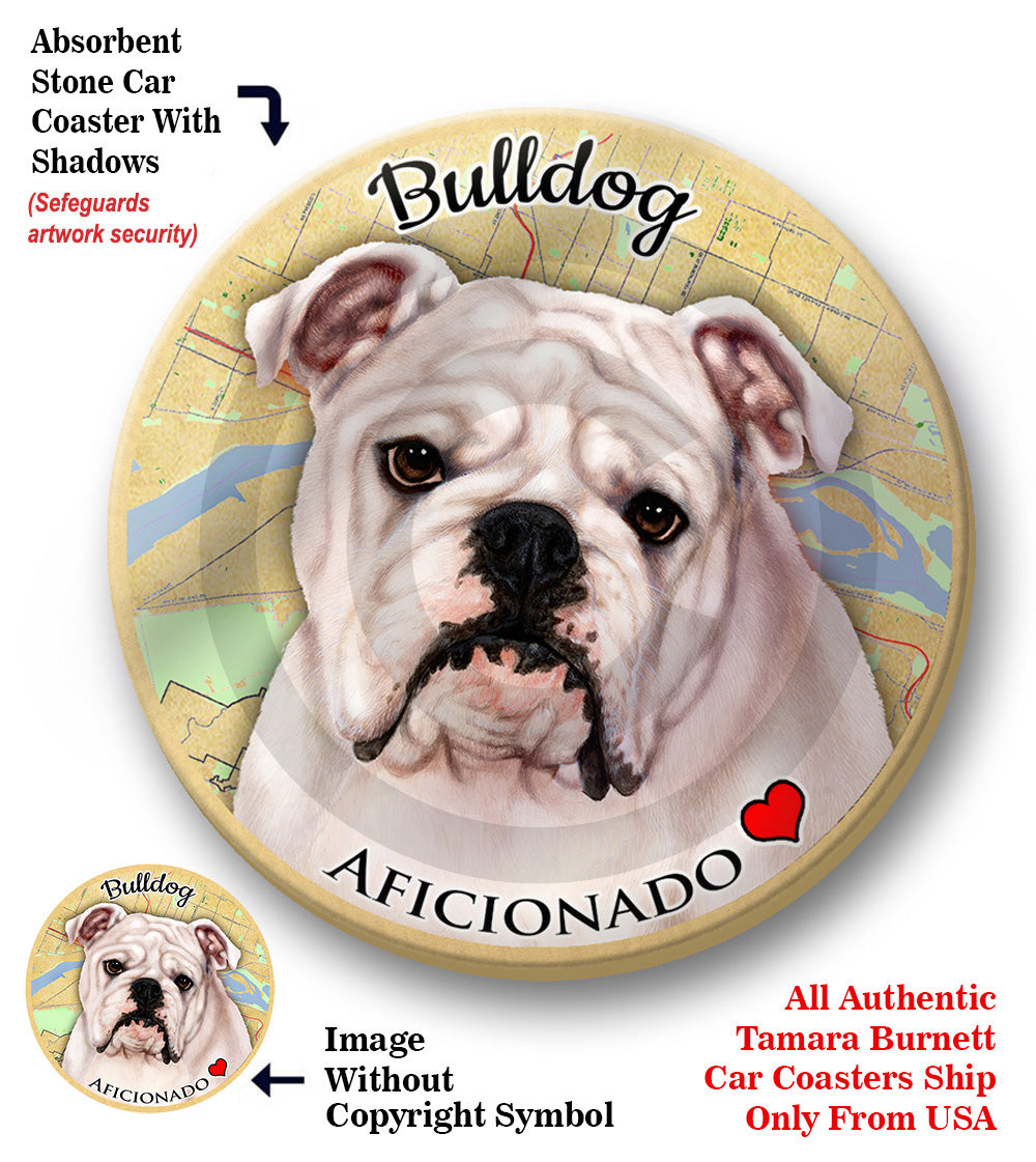 photo of English Bulldog