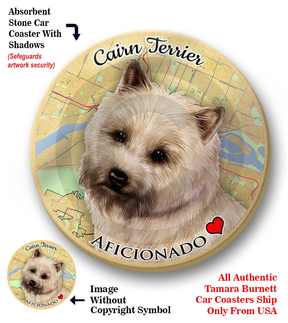 photo of Cairn Terrier