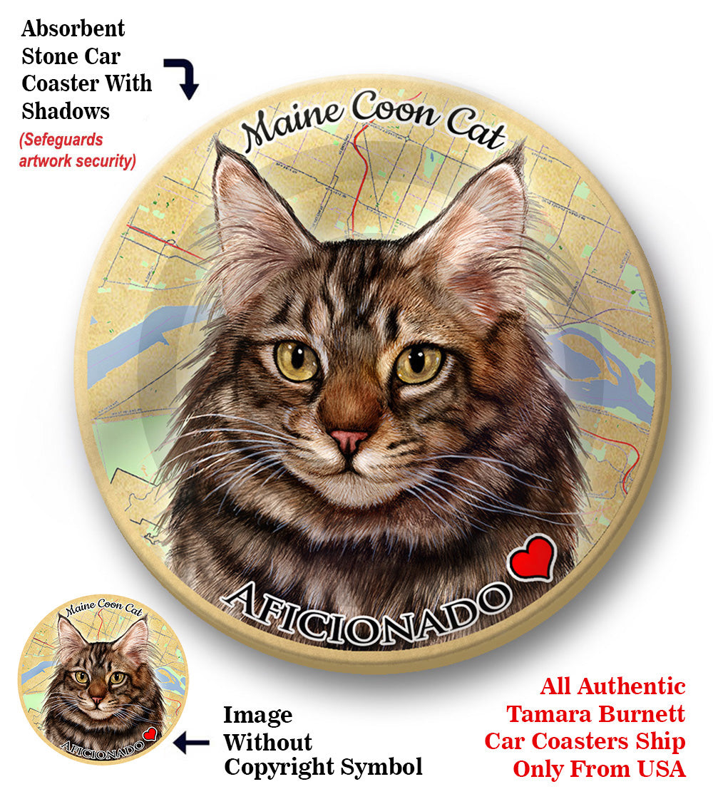 photo of Maine Coon Cat