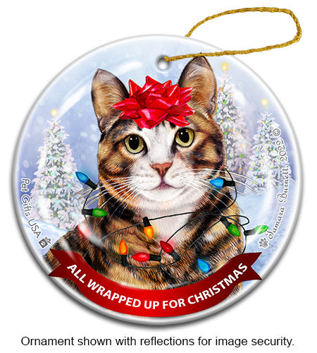 Tortoiseshell (Cleo) All Wrapped Up Ornament