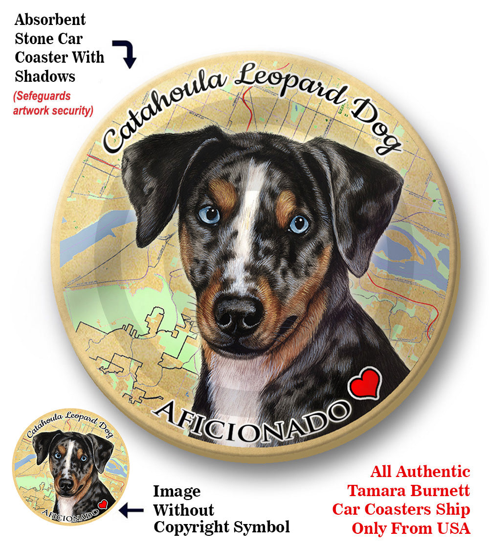 photo of Catahoula Leopard Dog