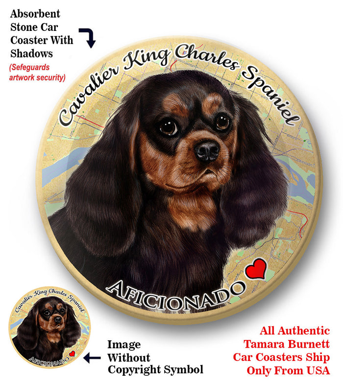 photo of Cavalier King Charles