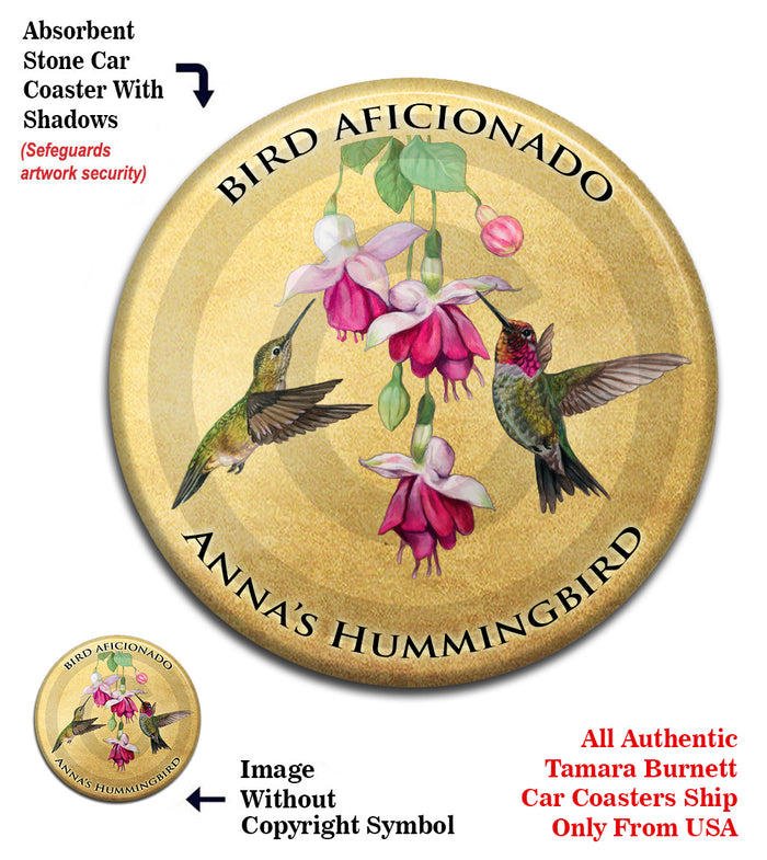 photo of Anna's Hummingbird
