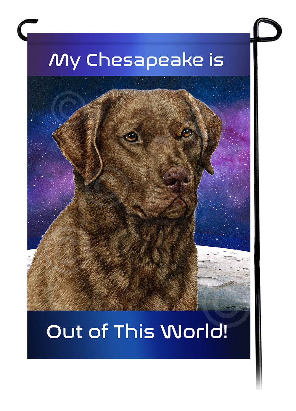 Chesapeake Bay Retriever Out Of This World Garden Flags