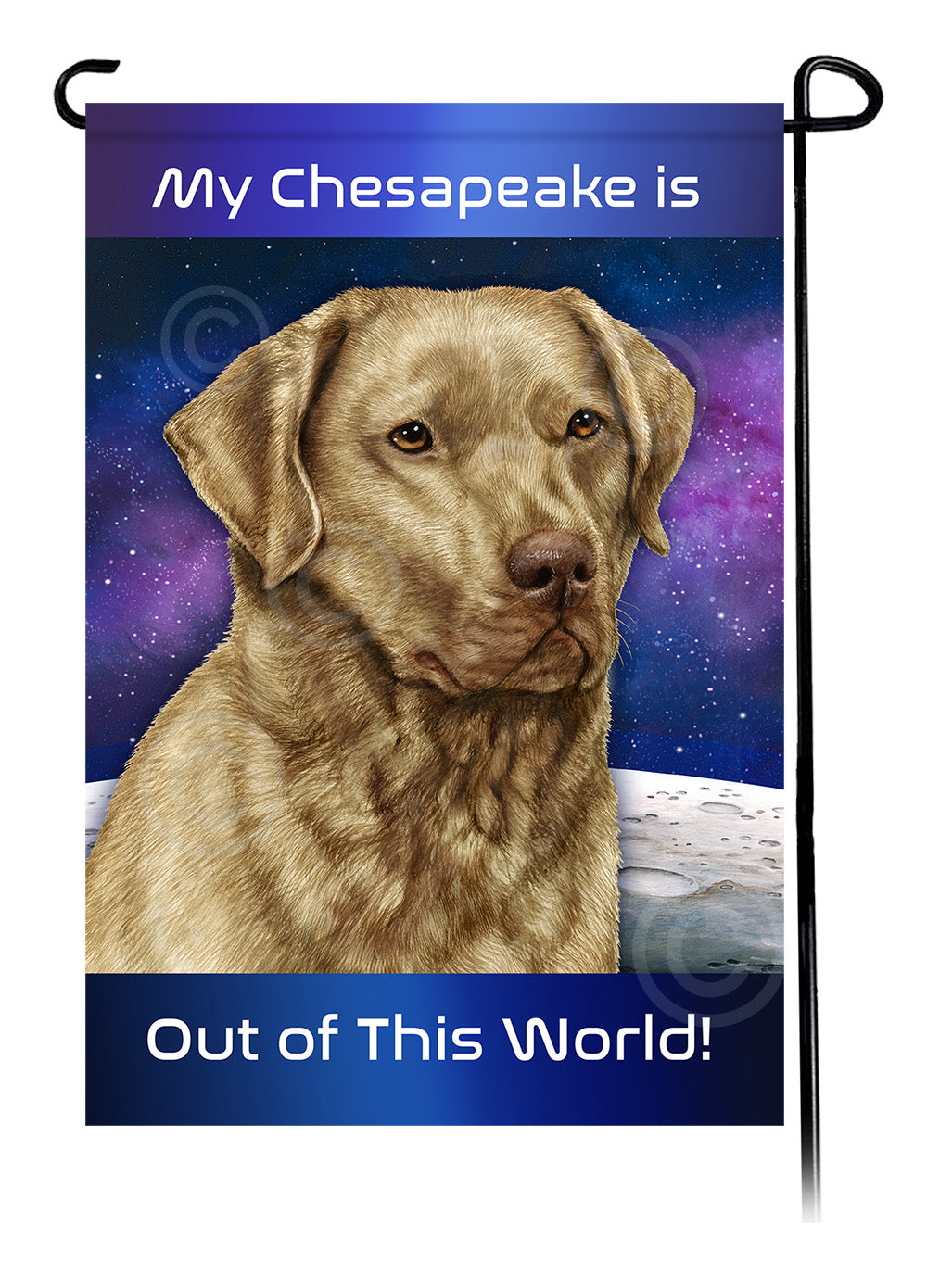 Chesapeake Bay Retriever Out Of This World - Garden Flag