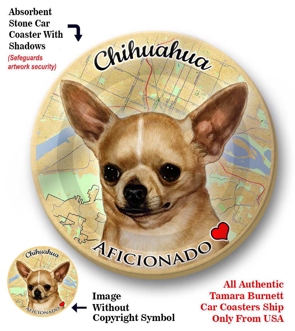 photo of Chihuahua