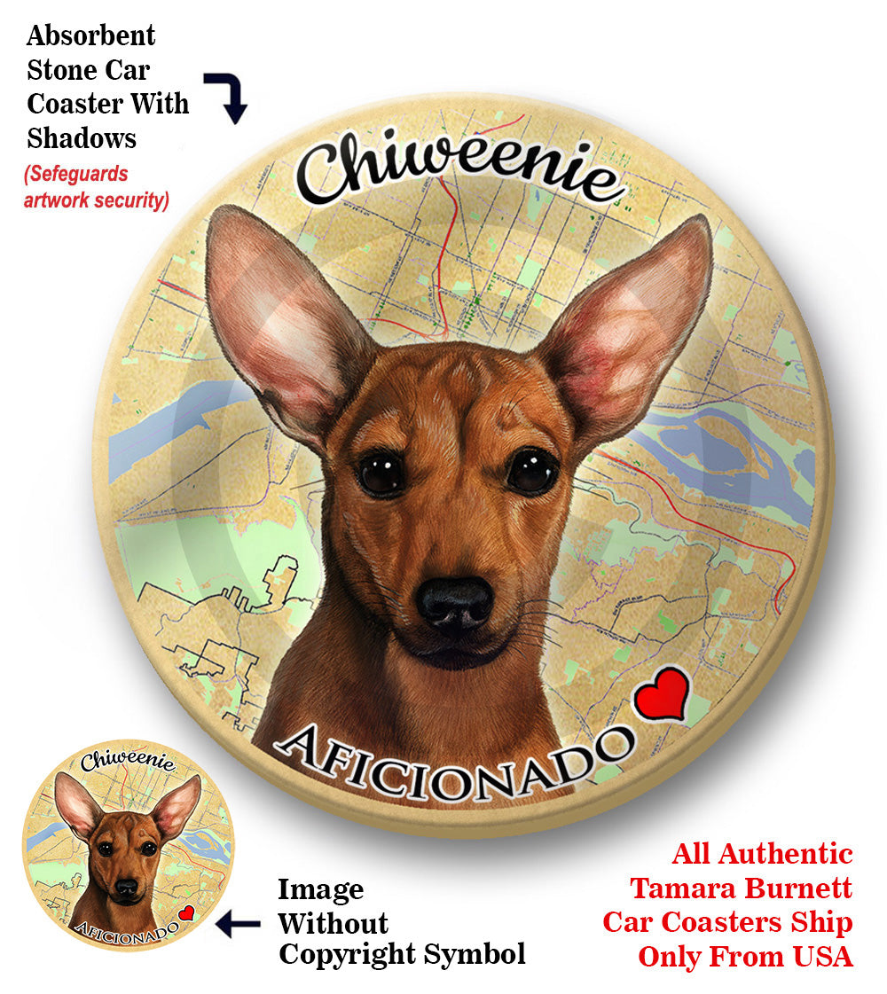 photo of Chiweenie
