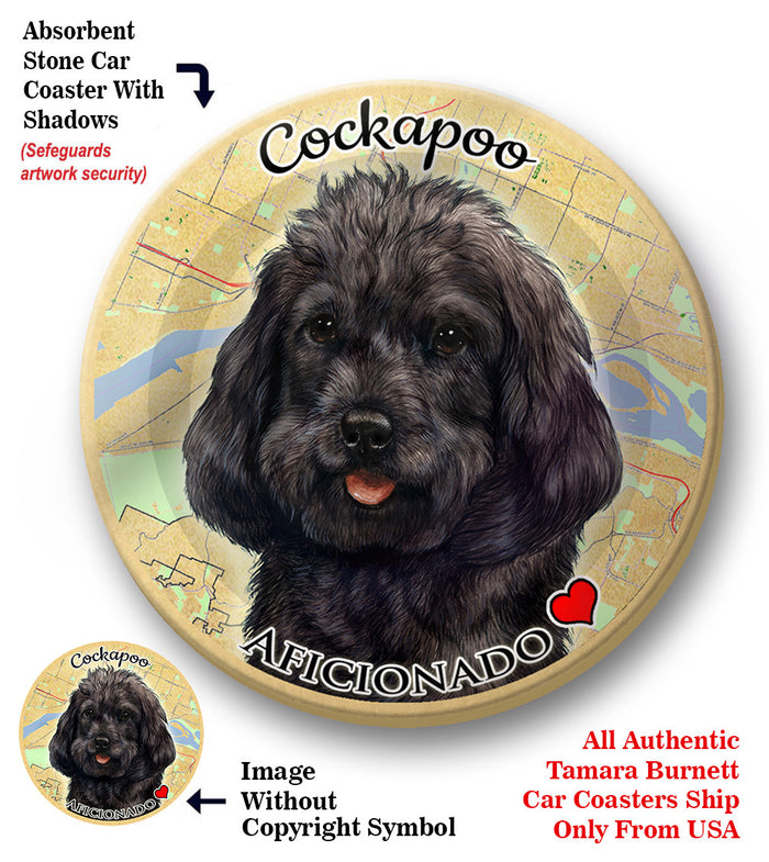 photo of Cockapoo