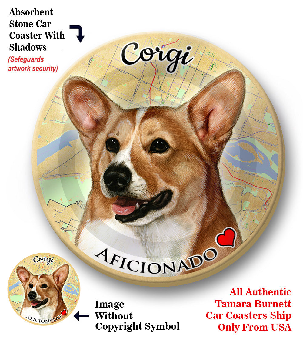 photo of Corgi