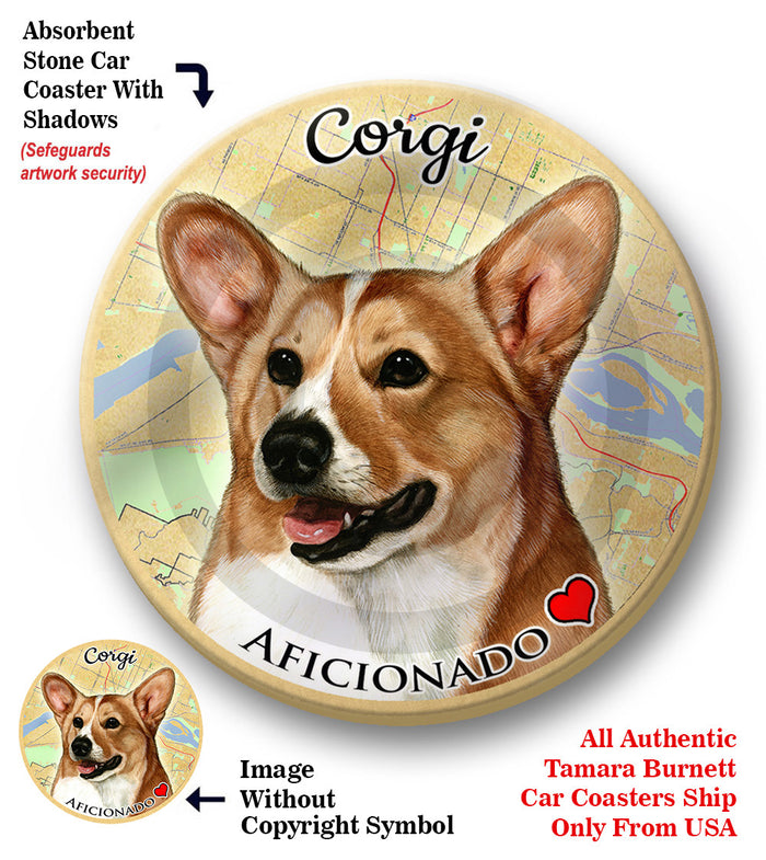 photo of Corgi