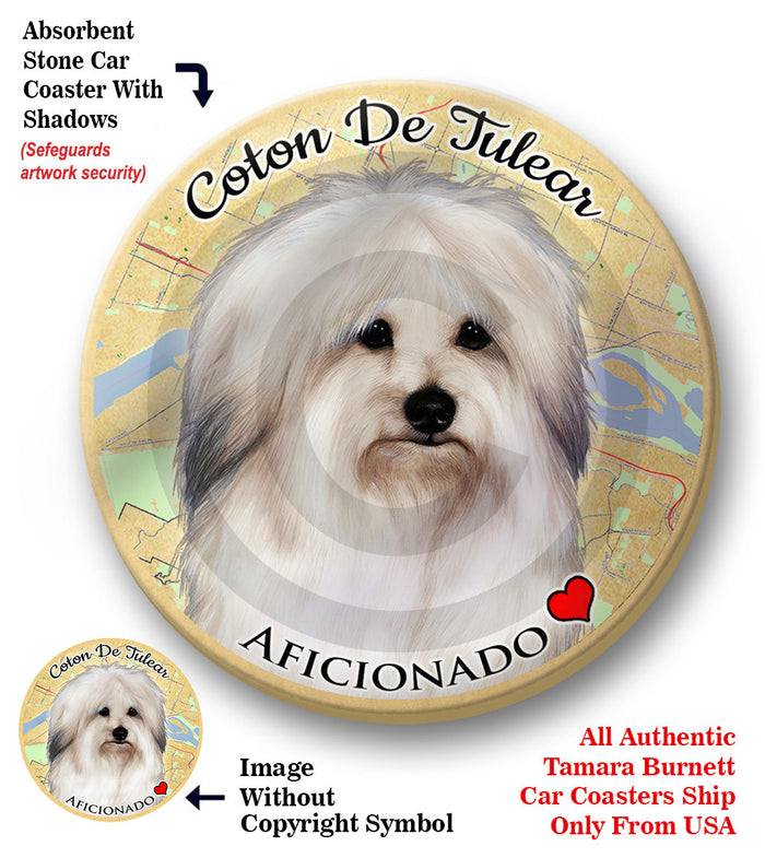 photo of Coton de Tulear
