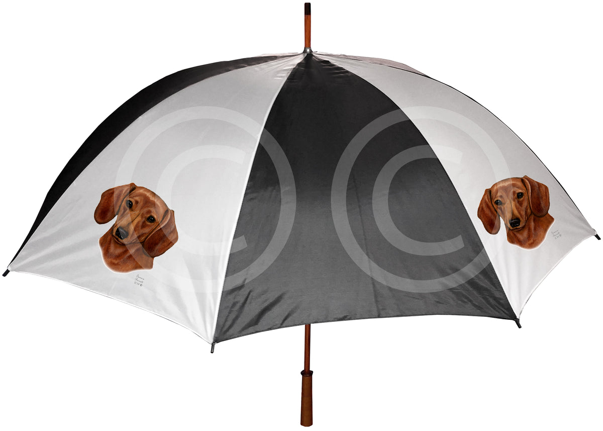 Dachshund Red Umbrella