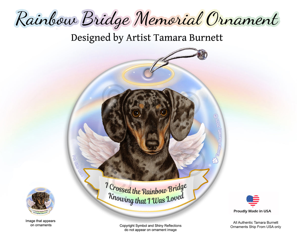 Dachshund Short Haired Dapple Chocolate and Tan Ornament