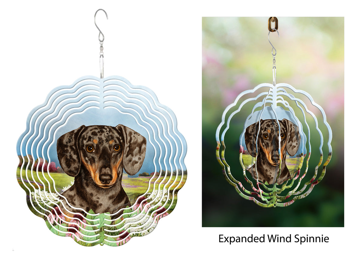 Short-Haired Dachshund Chocolate And Tan Dapple Wind Spinner