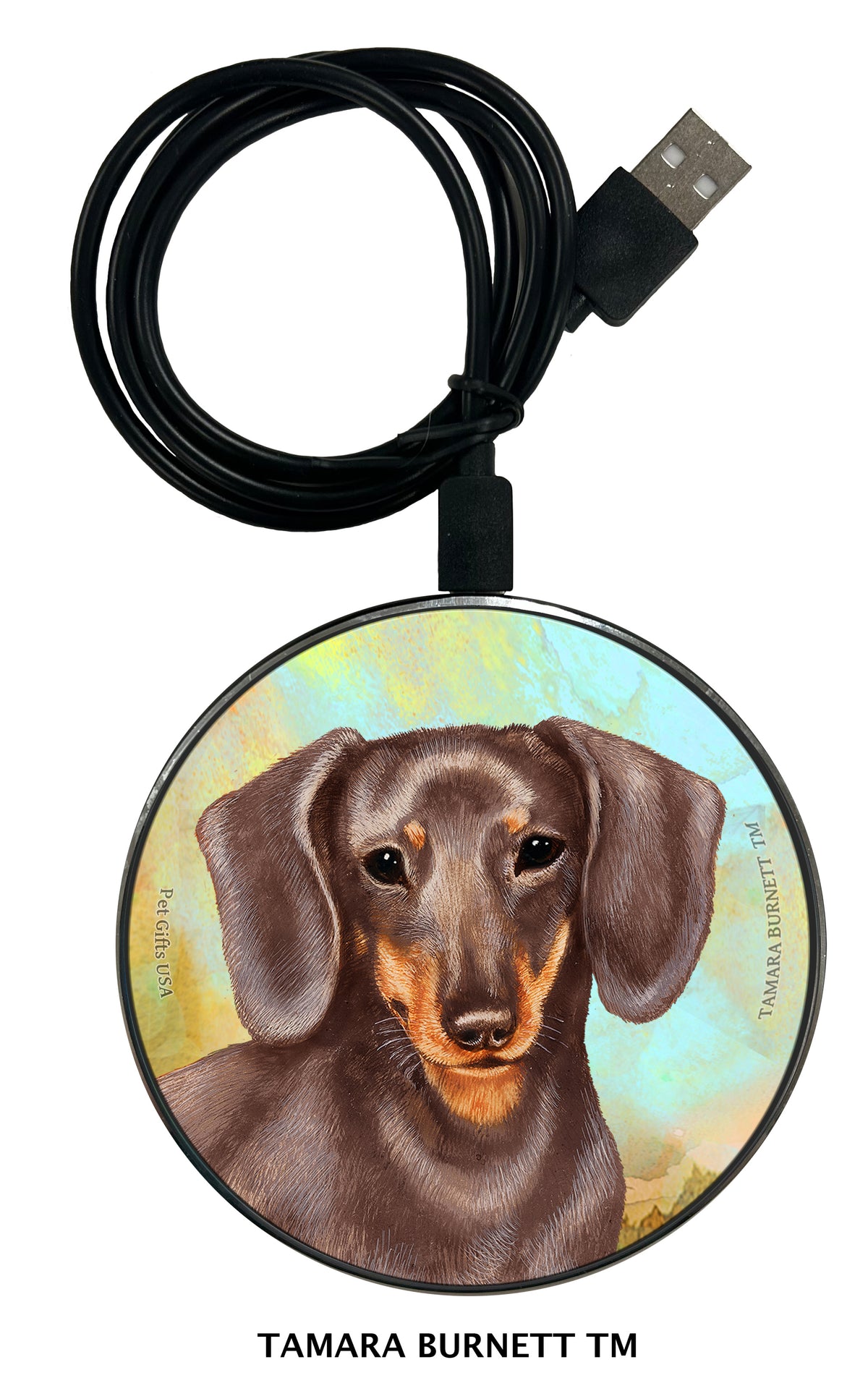 Dachshund Shorthair Fawn Zoomies Wireless Charger