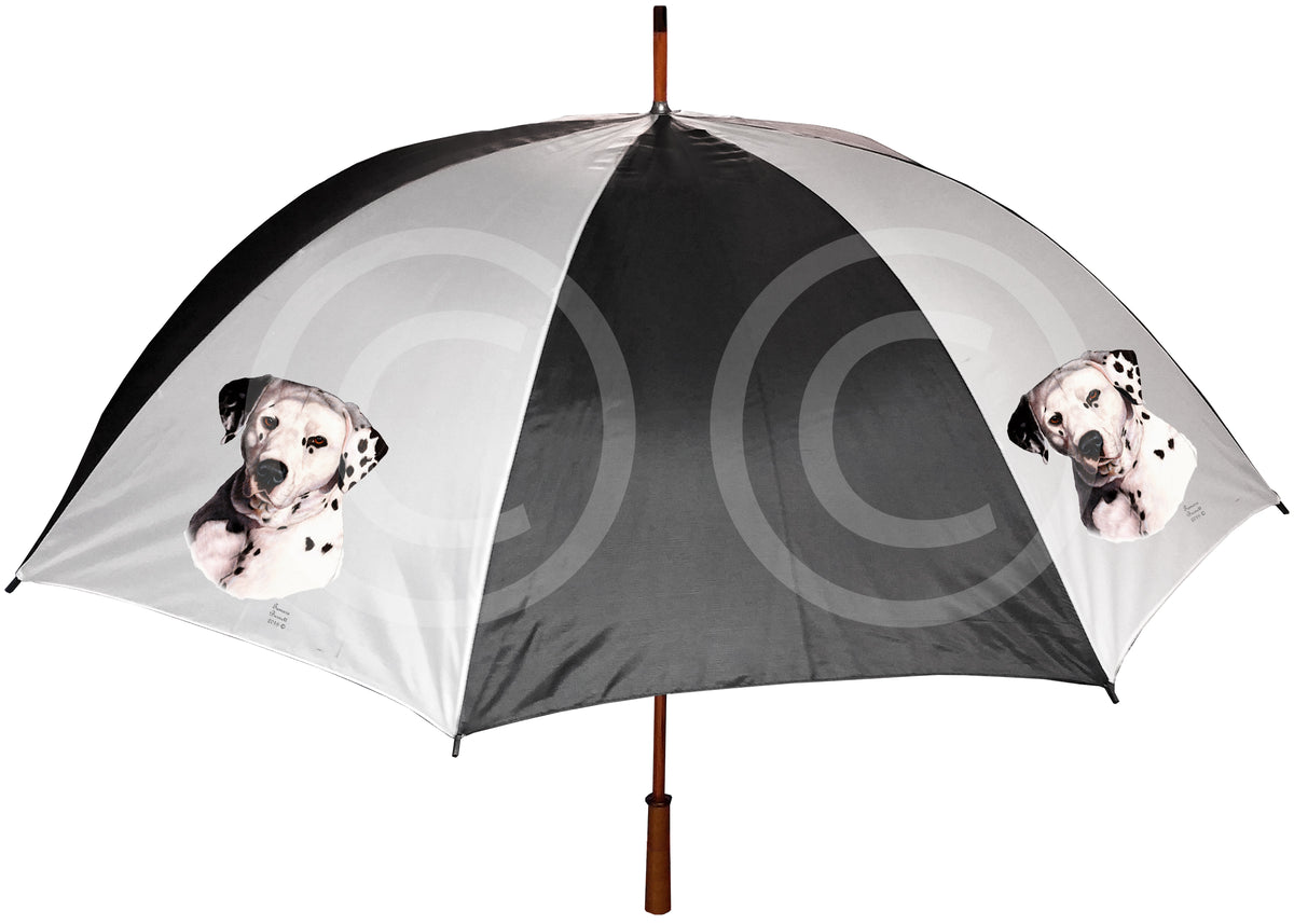 Dalmatian Umbrella