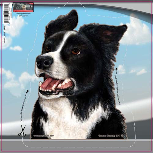 Border Collie Window Cling