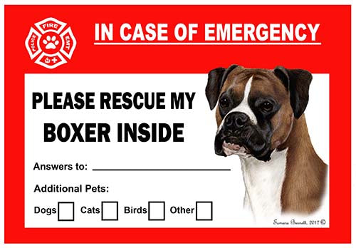 Boxer Emergency Cling