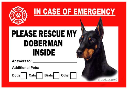 Doberman Emergency Cling