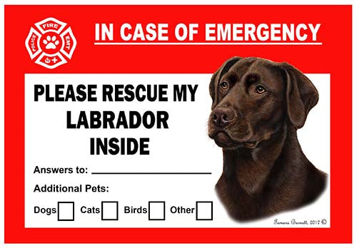 Labrador Retriever Chocolate Emergency Cling