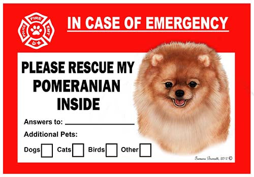 Pomeranian Emergency Cling