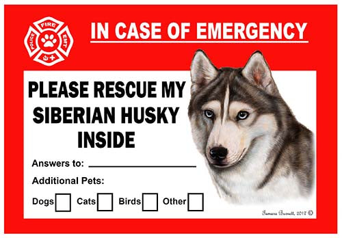 Siberian Husky Emergency Cling