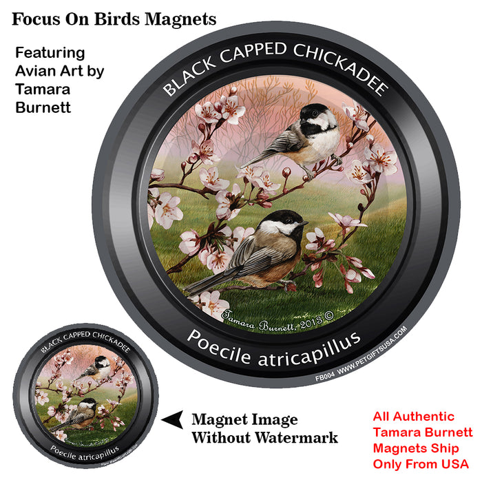 Black Capped Chickadee Bird Watcher Magnets