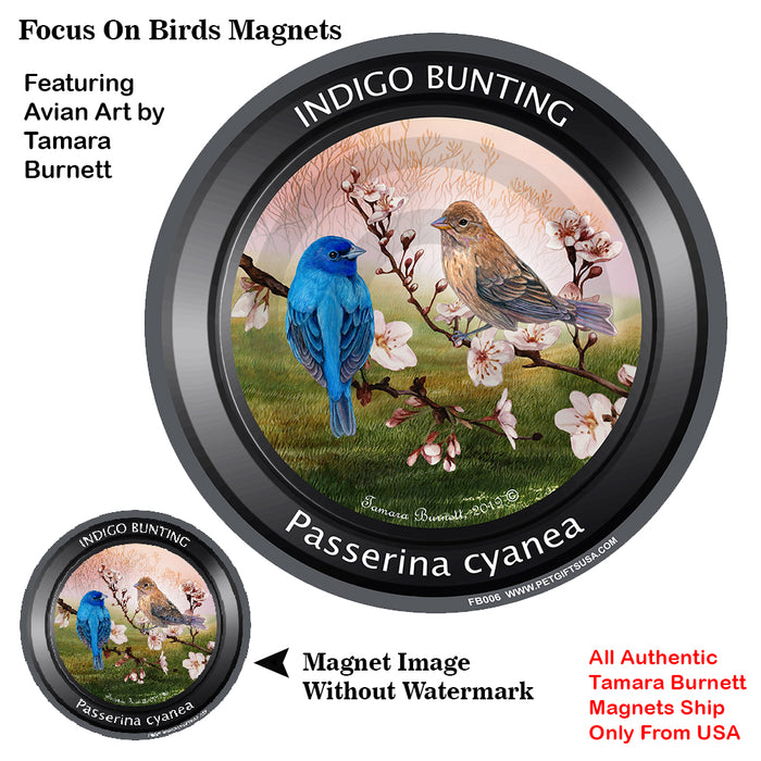 Indigo Bunting Bird Watcher Magnets