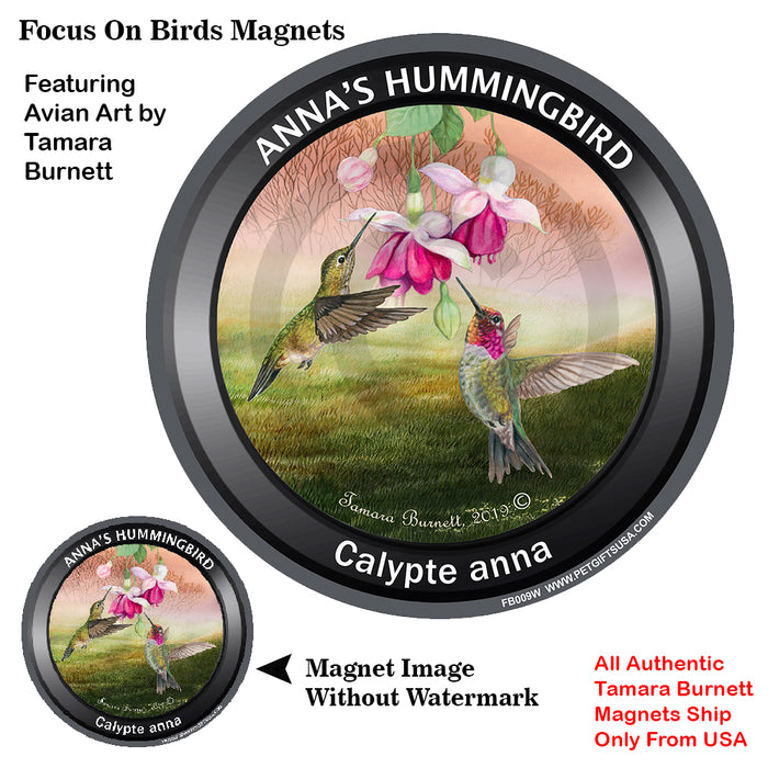 Anna's Hummingbird Bird Watcher Magnets