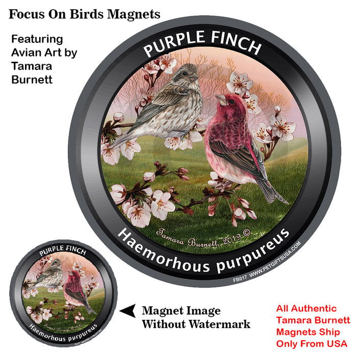 Purple Martin Bird Watcher Magnets