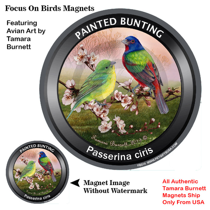 Painted Bunting Bird Watcher Magnets
