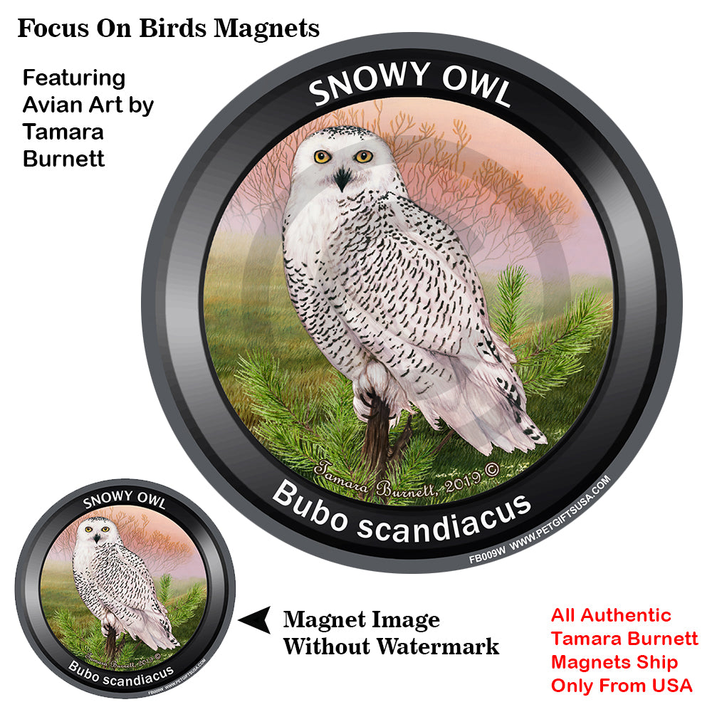 Snowy Owl Bird Watcher Magnets