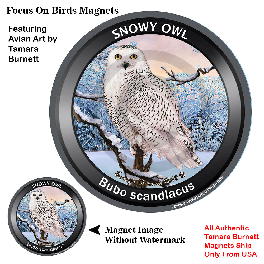 Snowy Owl Bird Watcher Magnets
