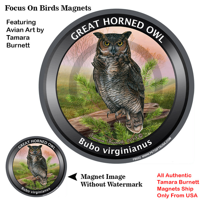 Great Horned Owl Bird Watcher Magnets