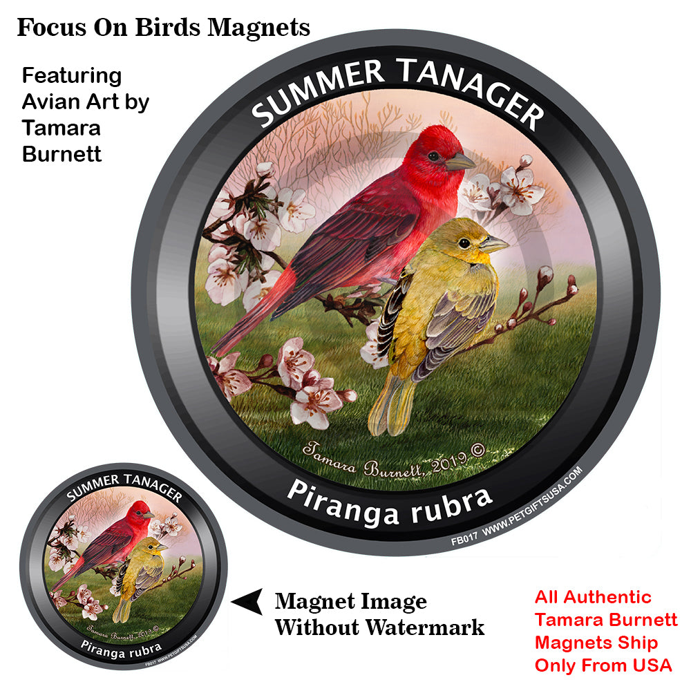 Summer Tanager Bird Watcher Magnets