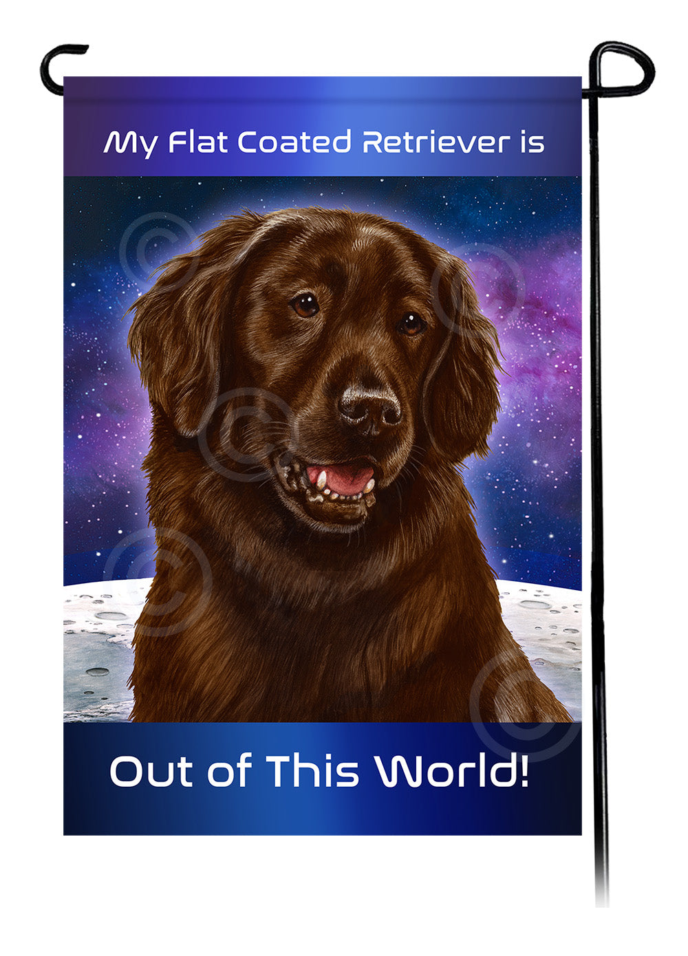Flat Coated Retriever Out Of This World - Garden Flag