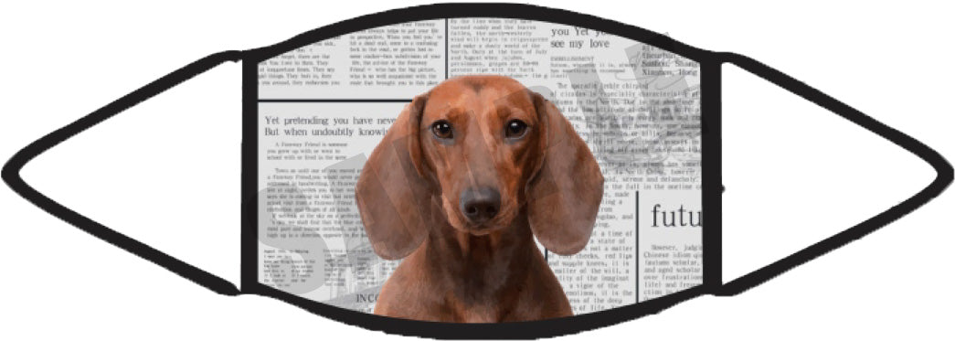 Dachshund Red (Newspaper) Face Mask