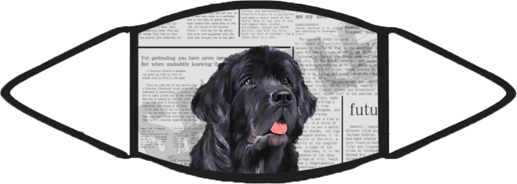 Newfoundland (Newspaper) Face Mask
