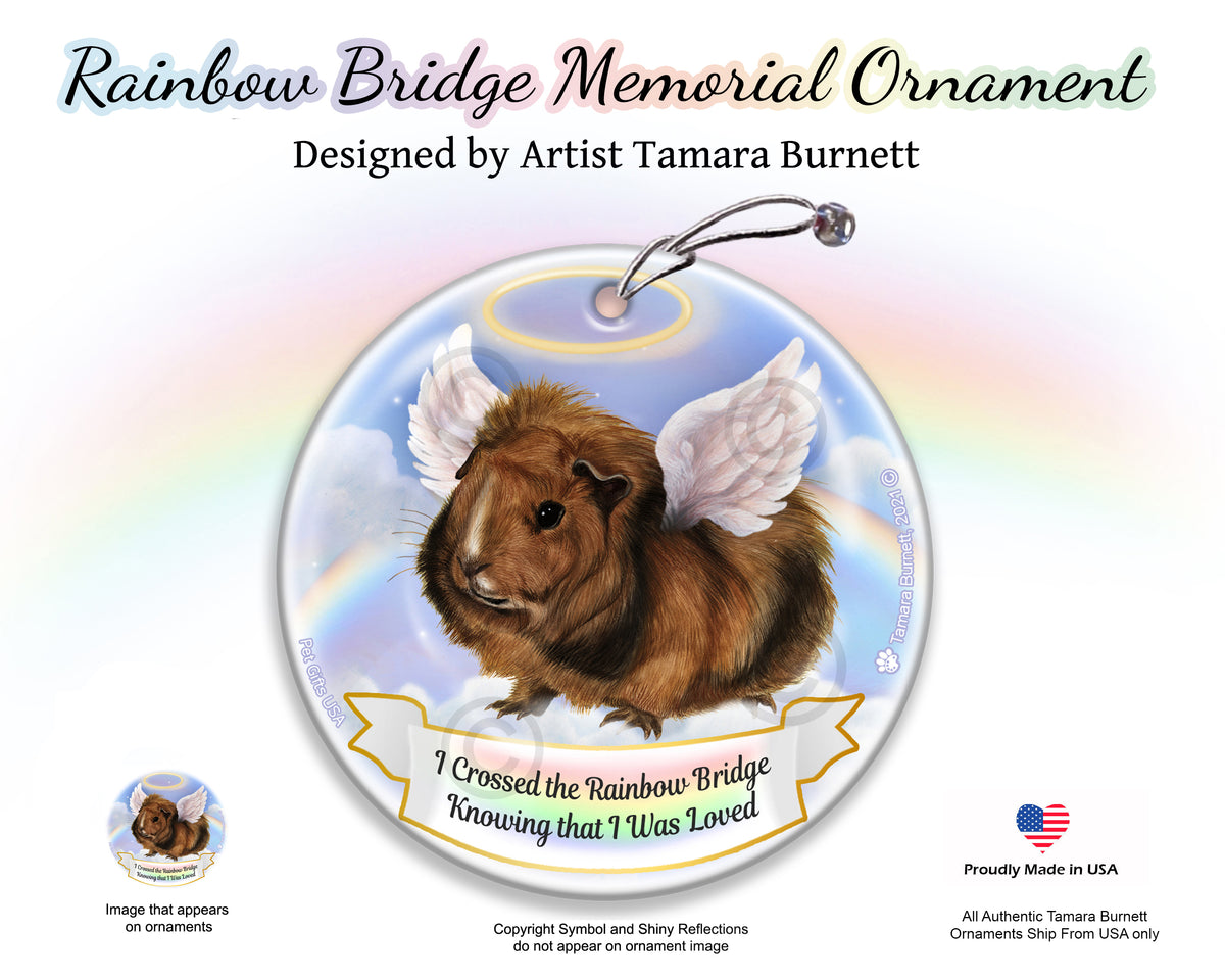 Guinea Pig Abyssinian Rainbow Bridge Memorial Ornament