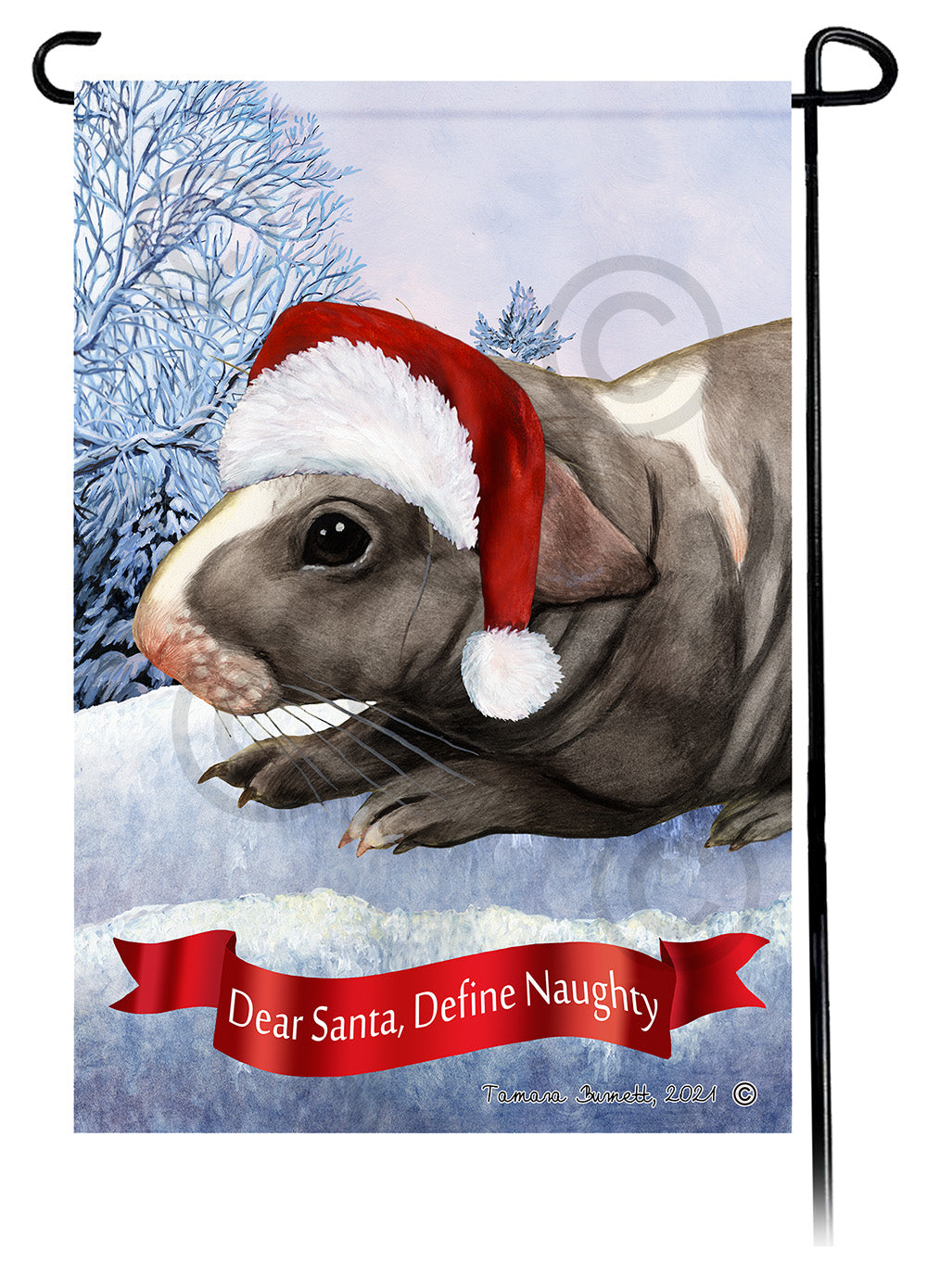 Skinny Hairless Guinea Pig Dear Santa Define Naughty Garden Flags