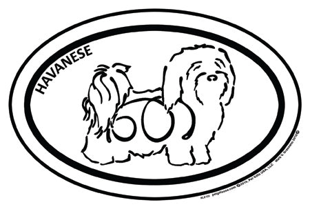 Havanese K-Lines Euro Style Tattoo Magnets